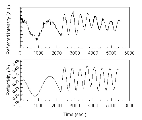 Reflected intensity of sample