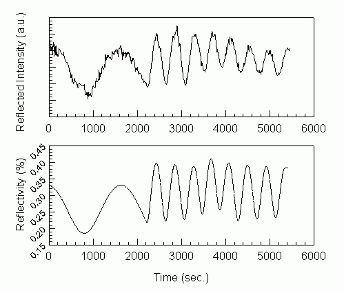 Reflected intensity of sample